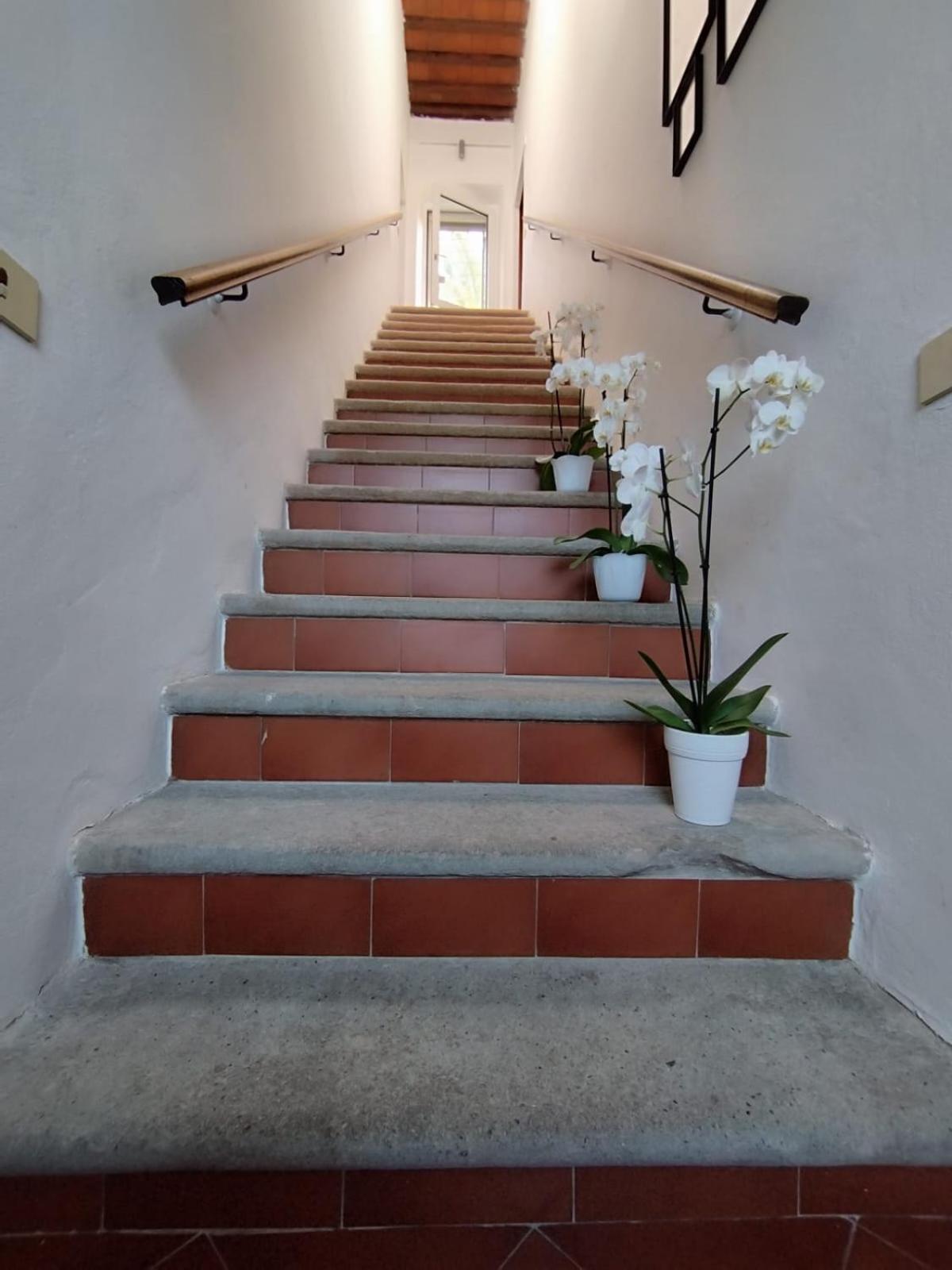 Bed and Breakfast La Domus Di Cosa Анседония Экстерьер фото